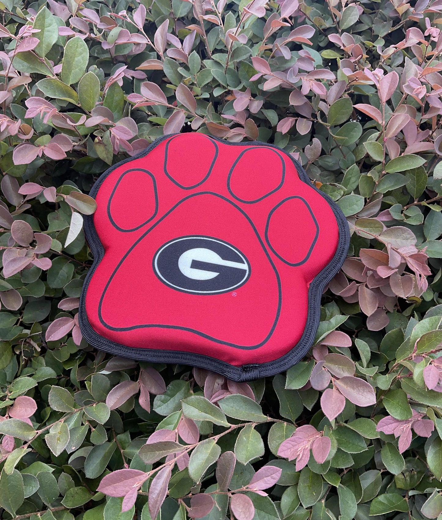 All Star Dogs UGA Paw Toy