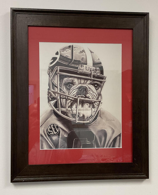 Hunker Down Drawings  Bulldog Ready To Hit Framed Picture