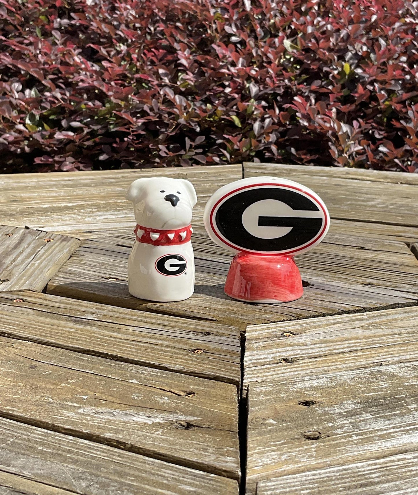 Glory Haus UGA Salt & Pepper Set