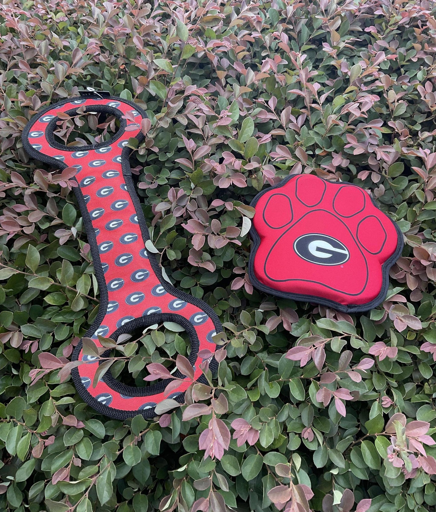 All Star Dogs UGA Paw Toy