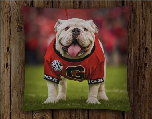 Wright Photo UGA Throw Pillow Cover Uga Mascot