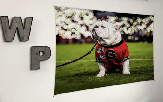 Wright Photo UGA Light Up Uga X Wall Tapestry