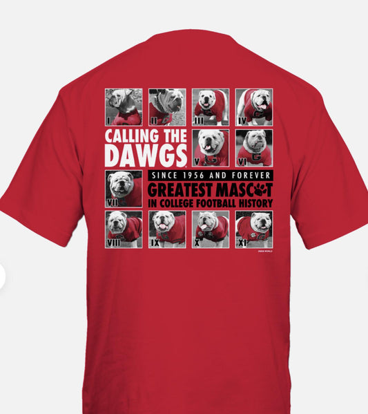 NW Graphics UGA Calling the Dawgs T-Shirt